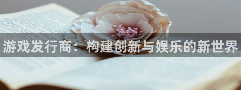 亿万28官网登录注册不了：游戏发行商：构建创新与娱乐的新世界