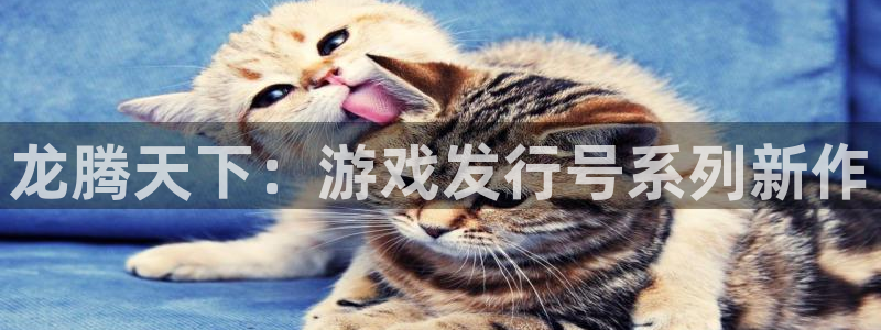 亿万28官网骗局是真的吗：龙腾天下：游戏发行号系列新作