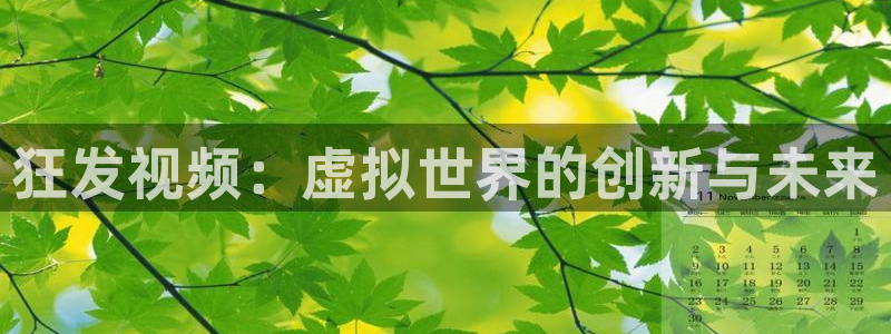 重庆亿万28子文化传播有限公司：狂发视频：虚拟世界的创新与未来