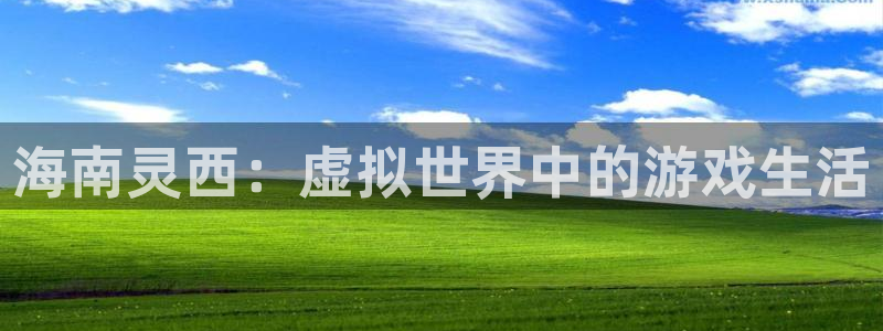 亿万28环境科技有限公司：海南灵西：虚拟世界中的游戏生活