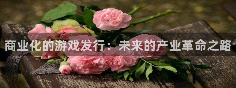 亿万28工坊：商业化的游戏发行：未来的产业革命之路