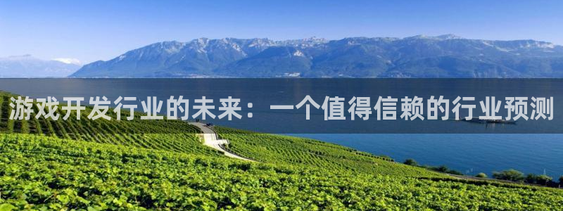 亿万28官网注册方法视频：游戏开发行业的未来：一个值得信赖的行业预测
