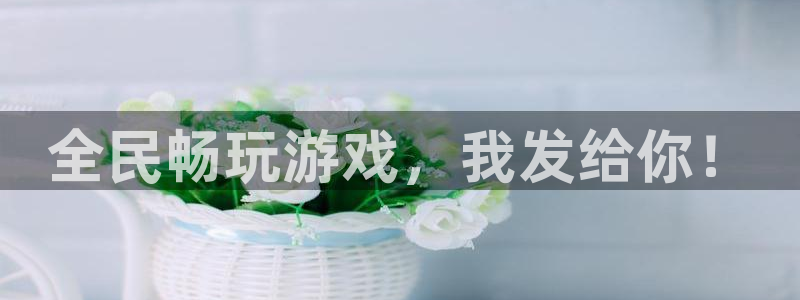 lvnces亿万28衣服价格：全民畅玩游戏，我发给你！