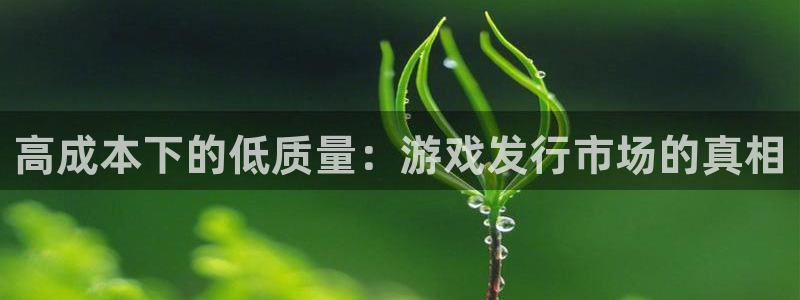 亿万28子文化：高成本下的低质量：游戏发行市场的真相