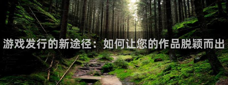亿万28子股价：游戏发行的新途径：如何让您的作品脱颖而出