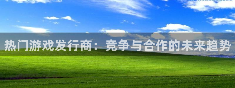 亿万28价格：热门游戏发行商：竞争与合作的未来趋势