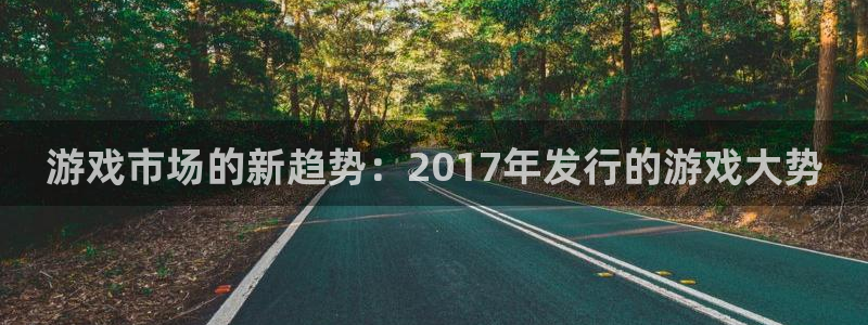 亿万28子文化创意做什么的：游戏市场的新趋势：2017年发行的游戏大势