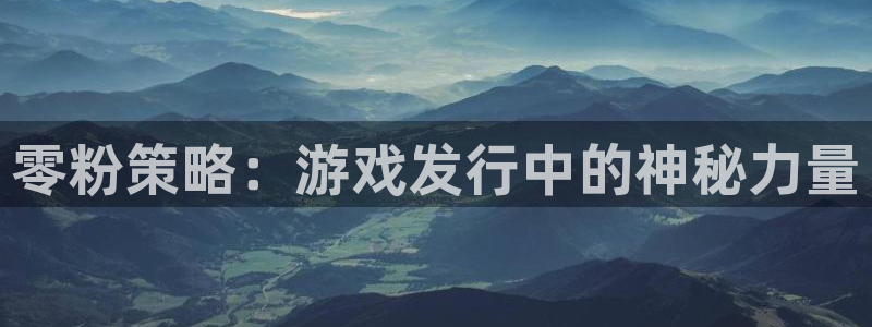 亿万28官网登录注册账号失败怎么回事：零粉策略：游戏发行中的神秘力量
