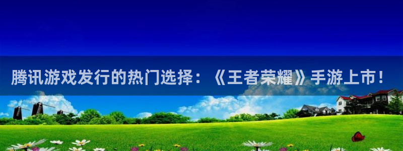 亿万28子公司怎么样知乎：腾讯游戏发行的热门选择：《王者荣耀》手游上市！