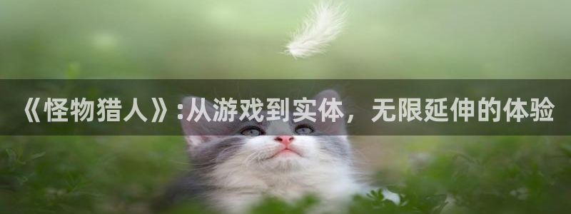 亿万28子公司怎么样：《怪物猎人》:从游戏到实体，无限延伸的体验