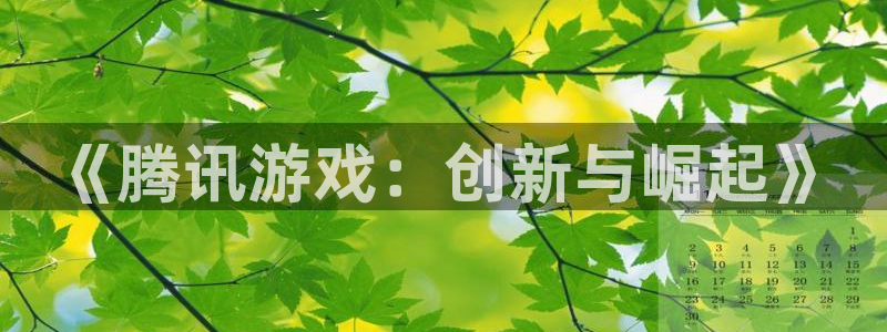亿万28官网注册方法有哪些软件：《腾讯游戏：创新与崛起》