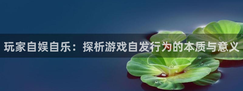 亿万28子文化：玩家自娱自乐：探析游戏自发行为的本质与意义